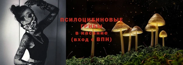 СК Алексеевка