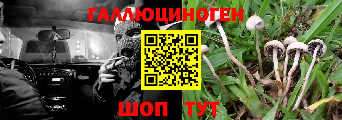 Псилоцибиновые грибы MAGIC MUSHROOMS Ярославль