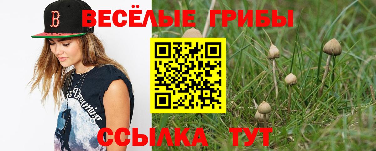 Ярославль  Псилоцибиновые грибы прущие грибы  Псилоцибиновые грибы MAGIC MUSHROOMS  Вход с VPN 