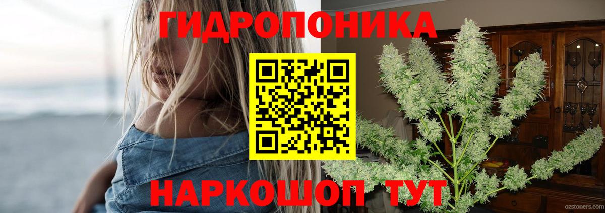 Конопля план  Вход с VPN  Бошки Шишки LSD WEED  Шишки марихуана Ganja  Ярославль  Марихуана конопля 